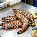 Fresh Whole Raw Tiger Prawns